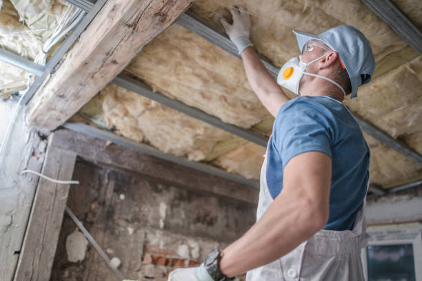 Best Insulation for Specific Applications in Carleton, MI